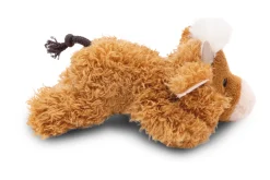 MagNICI Highland Cattle McMooray GREEN