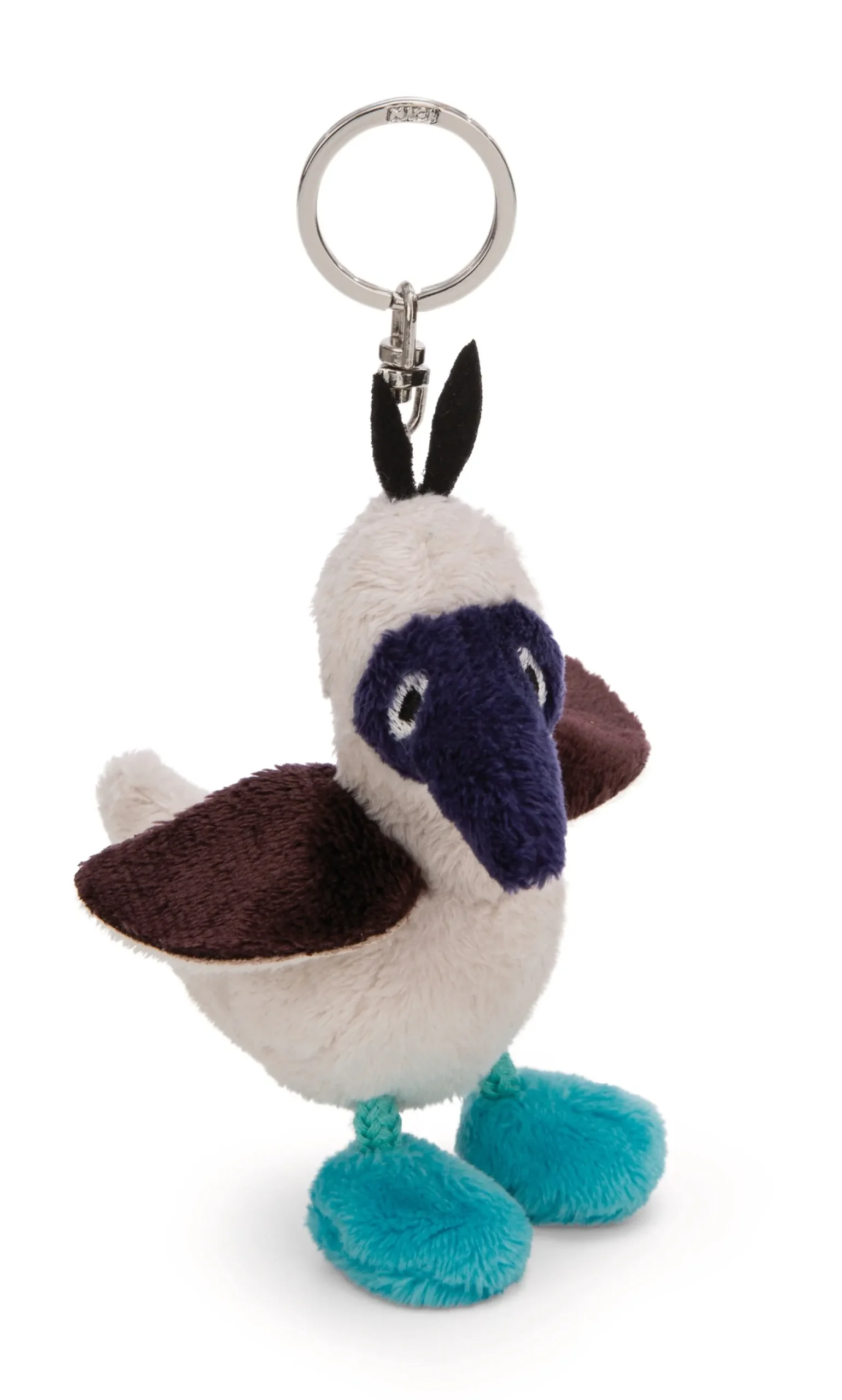 Keyholder Blue-footed Booby Sula NICI GREEN