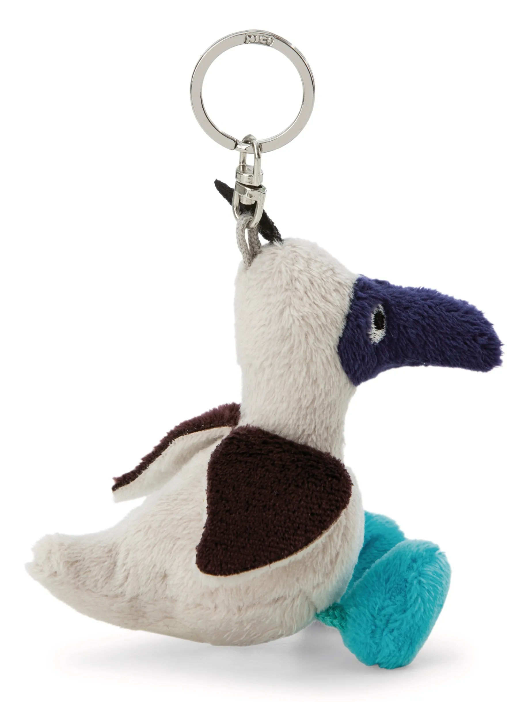 Keyholder Blue-footed Booby Sula NICI GREEN