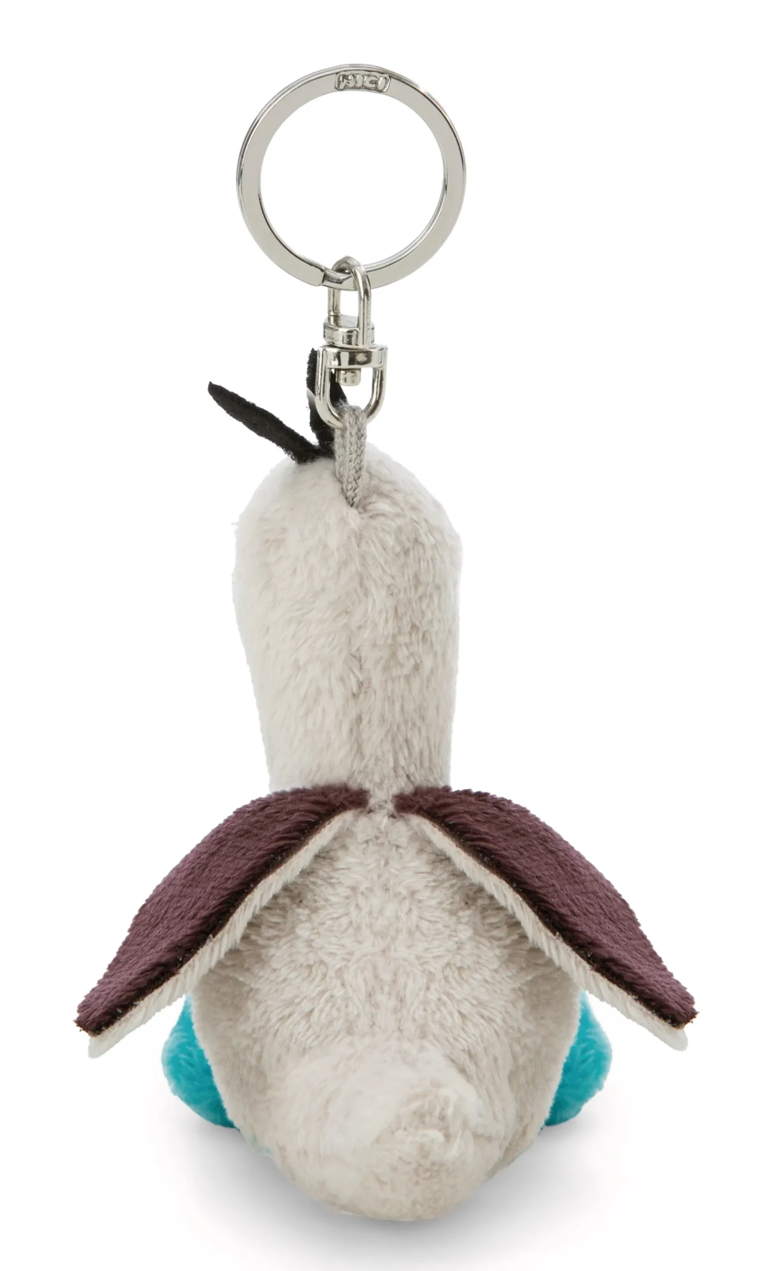 Keyholder Blue-footed Booby Sula NICI GREEN
