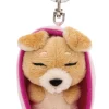 Keyholder Sleeping Pets Light Brown Dog NICI GREEN