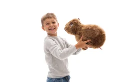 Sitting Soft Toy Capy-Barbara NICI GREEN